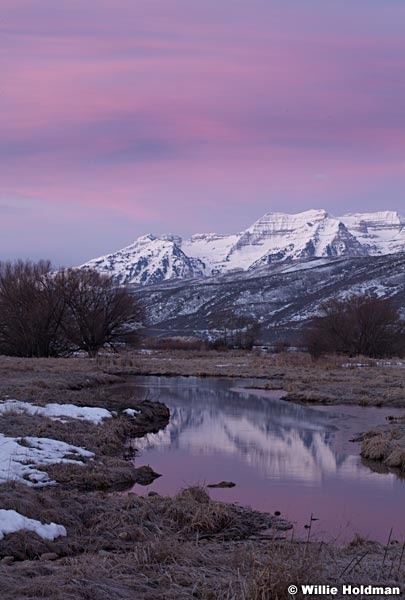 Timpanogos Marsh 030613 283