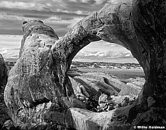 265040900113BW
