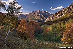 Autumn Maples Timpanogos 091814 6405