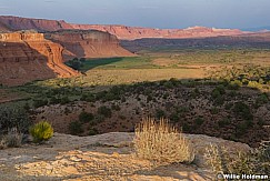 Torrey Utah Pastures 082420 6243