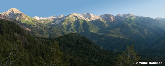 Wasatch AF Canyon 24x60