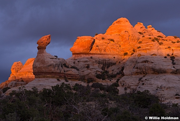 Beef Basin 050315 2
