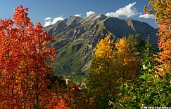 Timpanogos Maple Front Side 091625 5910