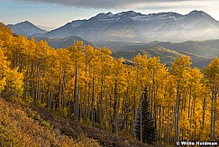 Golden Aspens Lone Pine 092921 6060