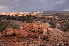 Desert Bighorn Sheep Capitol Reef 102719 2