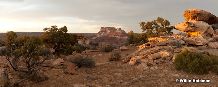 SanRafaeltemplepan052511