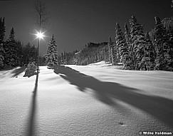 158020001711bw