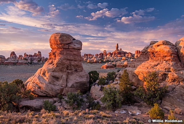 Canyonlands Chestler 050215 2