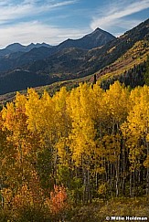 Alpine Loop Yellows 100521 9864