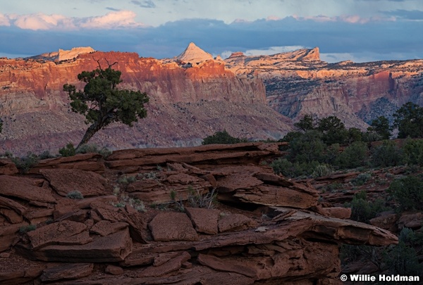 Capitol Reef Sunset Lone Tree 042824 5423 2