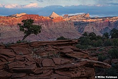 Capitol Reef Sunset Lone Tree 042824 5423 2