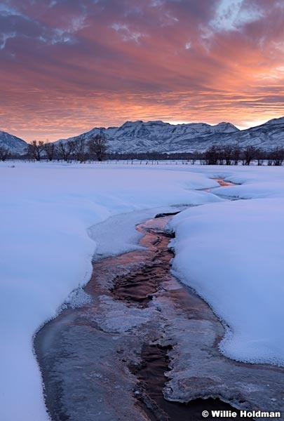 Winter Creek Timpanogos 020117 3257