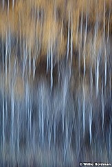 Abstractimpressions101510 6008