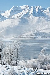 Frozen Timpanogos Frosty Trees 121722 9392