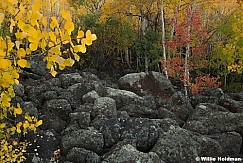 Red aspen Lava Boulders 100424 1911