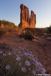 Arches Courthouse Towers 053011 505