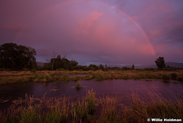 Provo River Rainbow 073112 485