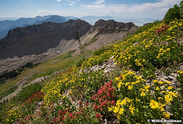 Timpanogos 082917 5380