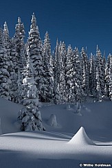 Fresh Snow Grizzly Gulch 111220 1690 3