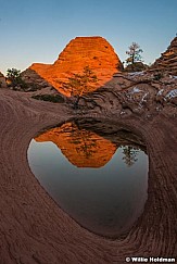 Waterhole Sunburst Tree 111215 2718