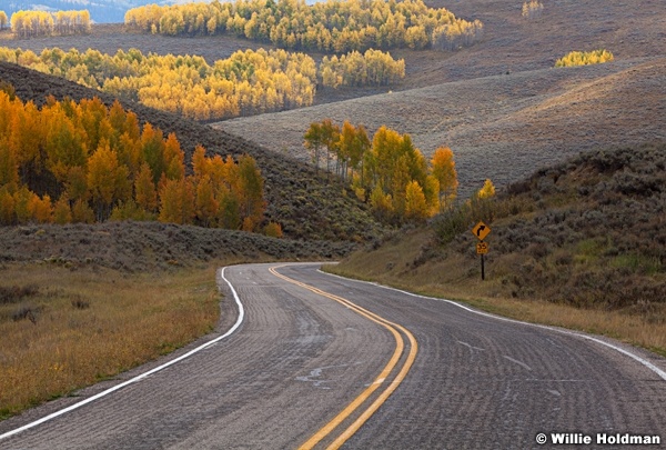 Road Aspens 092612 336