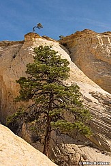 Pondersoa Boulder 101817 4229 2