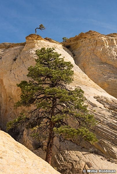 Pondersoa Boulder 101817 4229 2