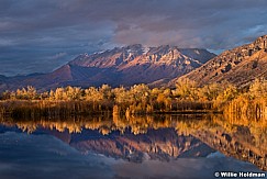 Timpanogos Light Show 110218