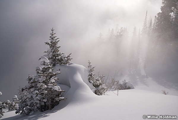 Snake Creek Powder 010320 0918