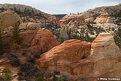 Fish Cove Rock 102724 4425