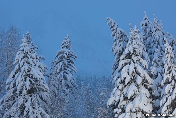 Sundance Snow Poines 011317 0505
