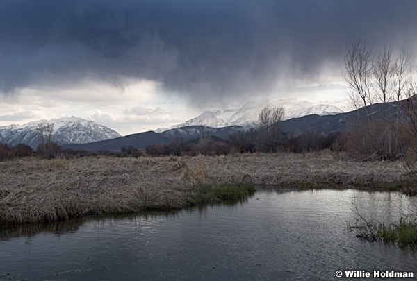Storm Over Timp 040520 1652