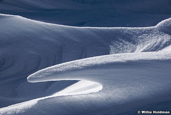 Snowabstract032709 547