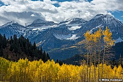 Timpanogos Autumn Aspens 100416 1631 1