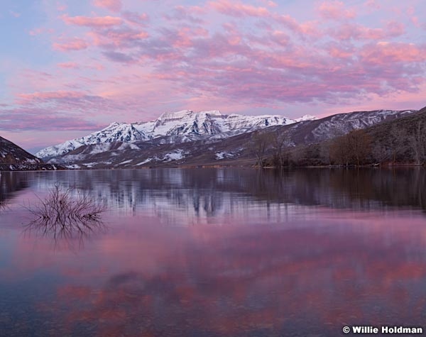 Timpanogos Pink Reflection 032312