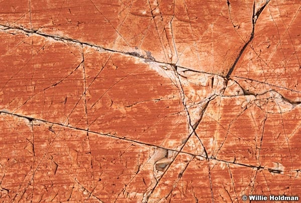 rock080607 884