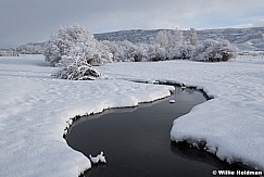 S curve winter stream 013021 0820 4