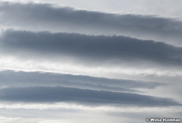 Silver Lining Clouds 111821 6064 3