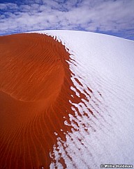 100280300119