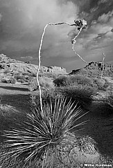 CanyonlandswhiterimBW110610 9692