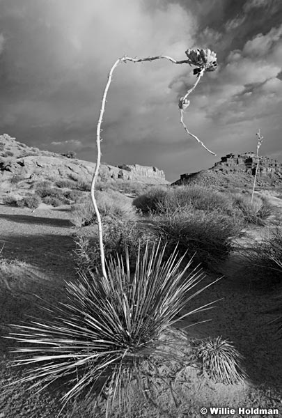 CanyonlandswhiterimBW110610 9692