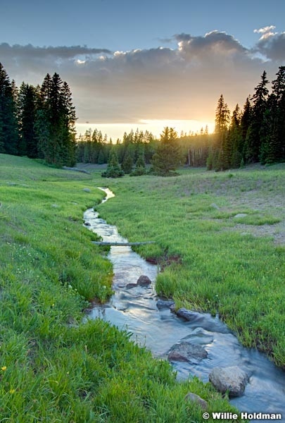 tusharmeadowstream071110