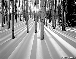 sunburstAspens198020000402Fb W