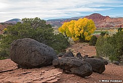 Torrey Knoll Lava Boulders Autumn 102022 3327