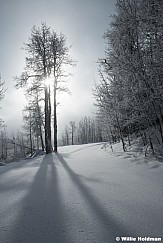 Aspen Shadows 010824 2447