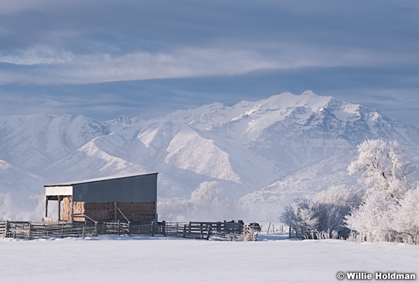 Charleston Hay Barn Winter 022419 8305