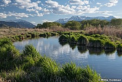 Cool greens stream Timpanogos