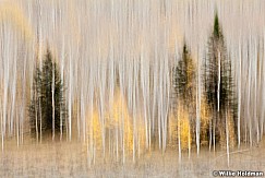Aspen Abstract impressionistic 100410 3776