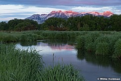 Meandering Stream Pink Timp 060423 0797