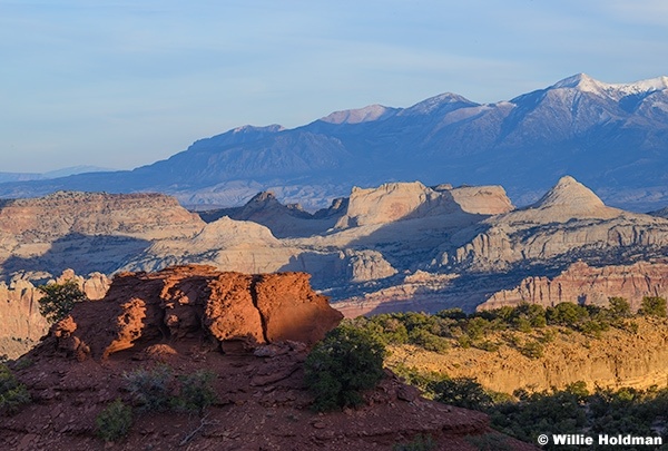 Fern Nipple Capitol Reef 011826 3332